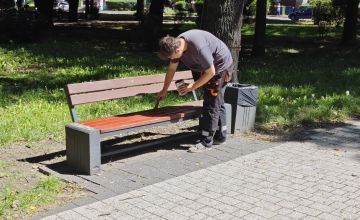 ławki